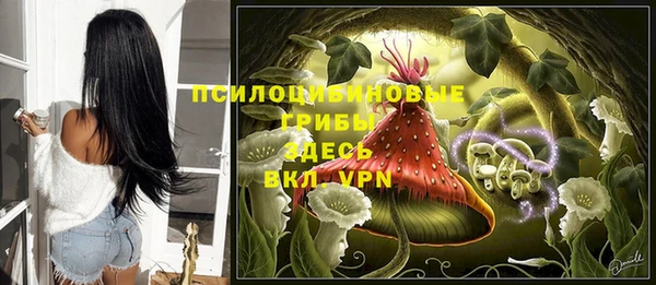 бошки Алзамай