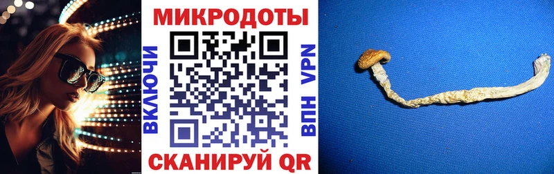 купить закладку  Арсеньев  Псилоцибиновые грибы Magic Shrooms 